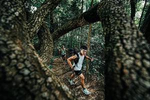 BIB: 
                            <button type="button" onclick="openModal(25392227)" class="btn btn-primary btn-sm float-right btn-popup" data-toggle="modal" data-target=".modal-high-quality">
                        <i class="fas fa-shopping-cart"></i> Add to Cart
                    </button>
                                            <button type="button" onclick="isThisMe(25392227, true)" class="btn btn-success btn-sm float-right btn-popup btn-isme hidden" data-toggle="tooltip" data-placement="bottom" title="นี่คือรูปของคุณใช่ไหม คลิกที่นี่เพื่อเอาเข้าอัลบั้ม">
                        <i class="fas fa-plus"></i> Add to album
                    </button>
                    <button type="button" onclick="isThisMe(25392227, false)" class="btn btn-warning btn-sm float-right btn-popup btn-isnotme hidden">
                        <i class="fas fa-ban"></i> Remove from album
                    </button>